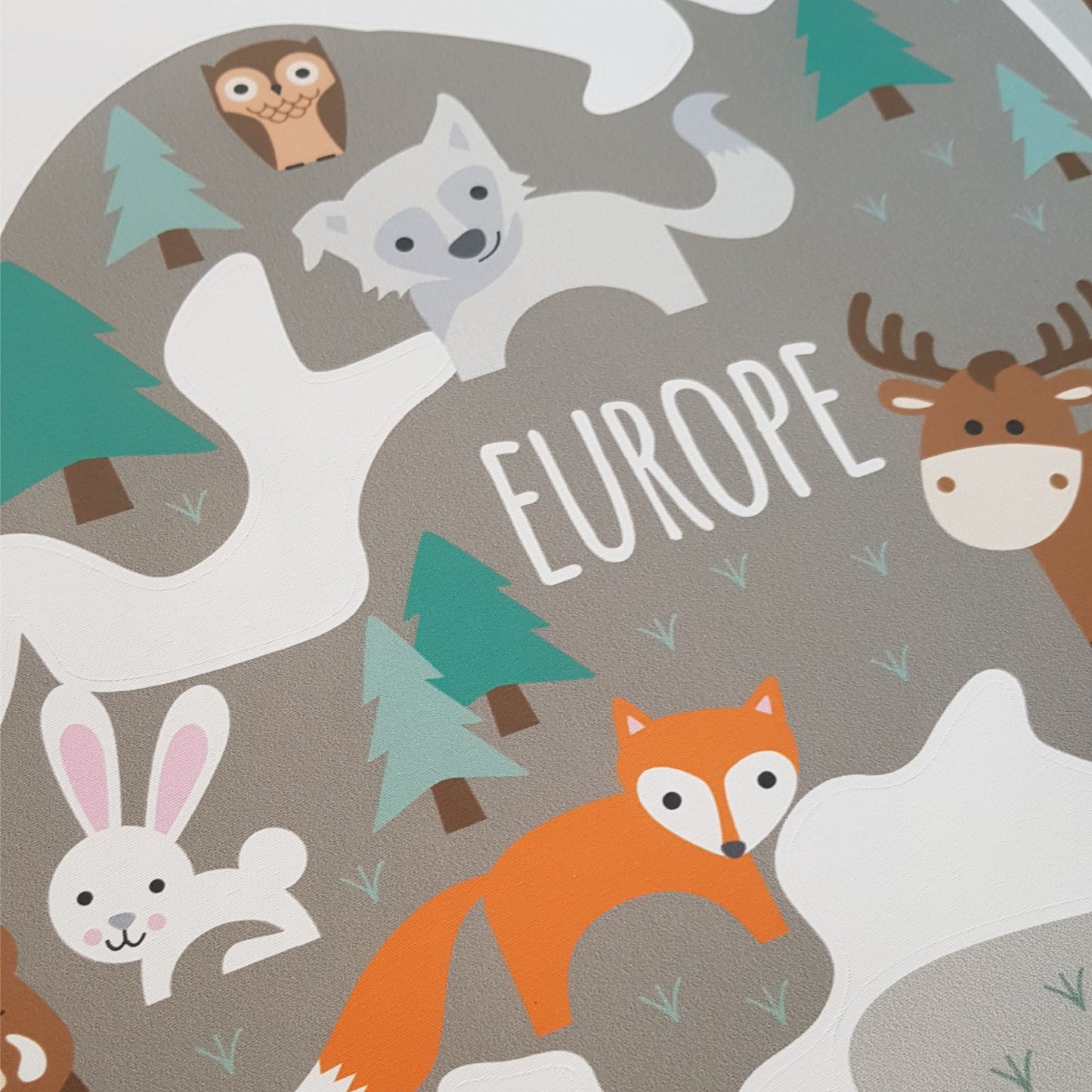 Children's Map of The World Wall Stickers