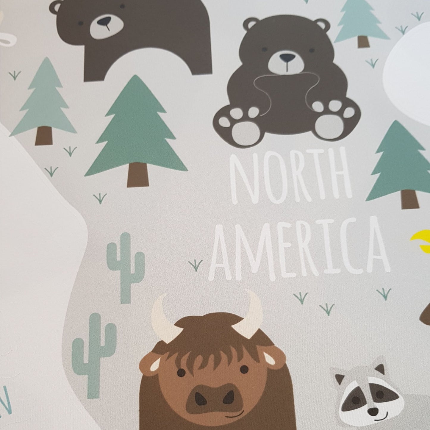 Children's Map of The World Wall Stickers