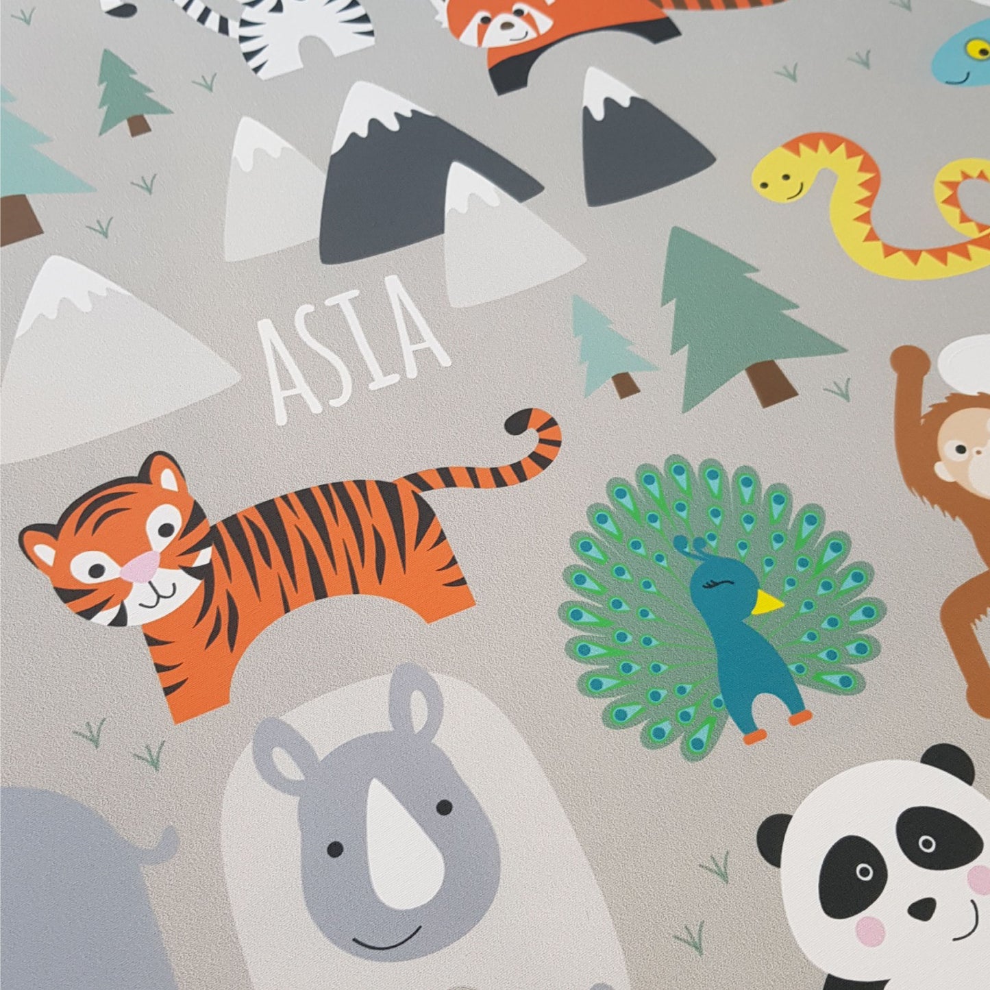 Children's Map of The World Wall Stickers